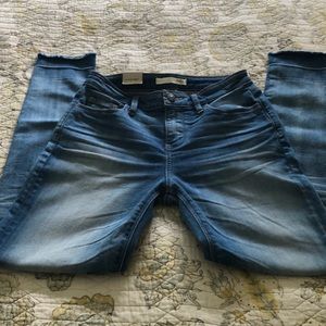 Daytrip Lynx Ankle Skinny Jeans